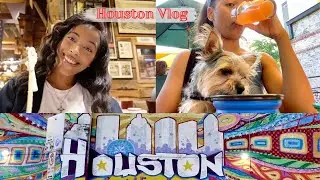 Houston vlog + my chorkie Rocky
