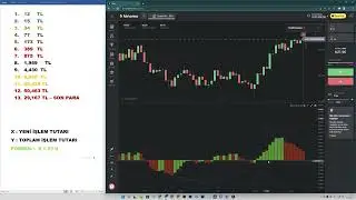BİNOMO ARTIK 120.000 TL DEMO BAKİYESİ DESTEKLİYOR! KESİNLİKLE DENEYİN!