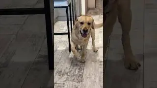 В этот раз не прокатило😂