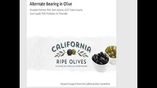 Talk #6: Understanding and Mitigating Alternate Bearing in Olive with Elizabeth Fichtner