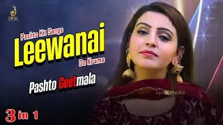 Leewanai Di Krama | Janana | Pashto Hit Songs | Pashto Geetmala