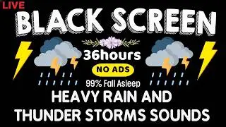🔴 Defeat Insomnia in 3 Minutes - Gentle Rain Sounds for Deep Sleep & Relaxation