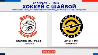 LIVE: «Белые Ястребы» (Северск) - «Энергия» (Кемерово). 27.04.2024 14:45