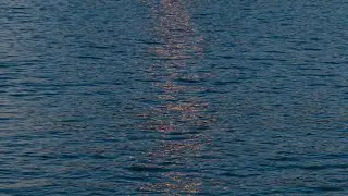 a lighthouse beach