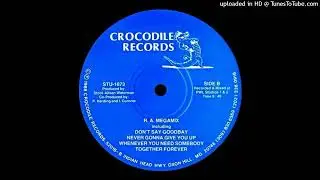 RICK ASTLEY R.A. MEGAMIX Crocodile Records STU1873 1988