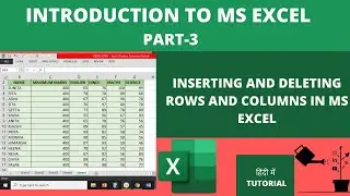INSERTING AND DELETING ROWS AND COLUMNS IN MS EXCEL | PART-3