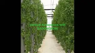 Vertical Aeroponic in 