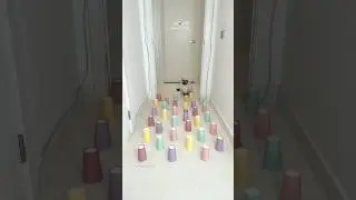 Easy-peasy 🧸 #cat