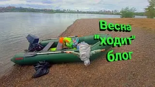 Весна прошла . Прогулка на лодке. блог #video #shortvideo #blogger