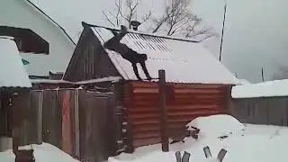 турникмен х ев