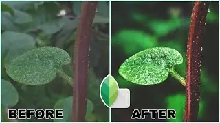 HOW TO EDIT PHOTO ON ••SNAPSEED•• ||| SNAPSEED EDITING TUTORIAL ||| MOBILE EDITING 🔥