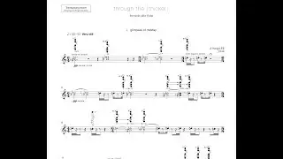 through the | thicket | (2018) for solo alto flute • Ji Heng LEE