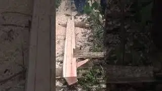 Making Lumber In The Philippines Part 7 #chainsaw #stihl  #philppines