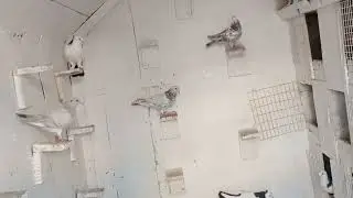Тренируем молодежь!