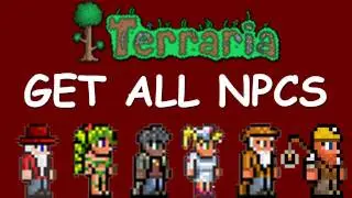 Terraria - How to get ALL NPCS on Terraria!