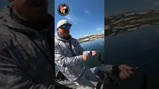 First Kokanee of 2023 at Strawberry Reservoir, UT #fishing #kokanee