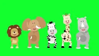 Animals dance green screen video | Green Screen Animal Dance