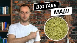 Що таке Маш (боби мунг) - суперфуд про який ви не знали