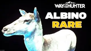 WAY OF THE HUNTER - Rare  Animal Variations