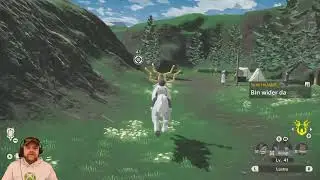 Pokemon Legenden Looten und Leveln mit Markusli