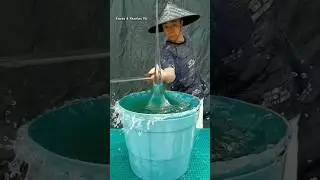 The water ninja 