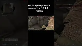 когда тренировался на аимботс 10000 часов 