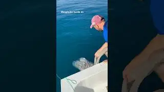 Kim mezgit başlığı sever #fishing #keşfet