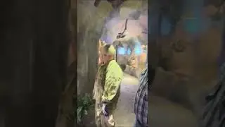 Олег и Оксана Зубковы. Искусство любить и созидать