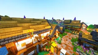 Minecraft Village Transformation