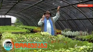 ზურა შევარდნაძე - გარდენია