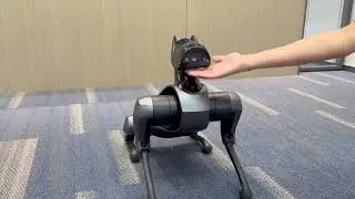 Xiaomi CyberDog 2 quick experience!