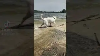 Гарного дня 💙💛