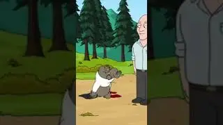 капоэйра сучка 