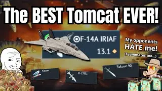 I made my Opponents RAGE by harassing them with Iranian Tomcat🔥(A beautiful feeling) | F-14A IRIAF