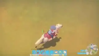 My Time At Portia BUG