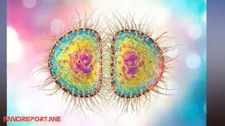 Scientists warn of mysterious and deadly Disease X that could kill millions around the world