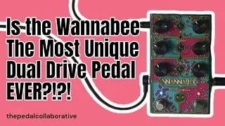 Exploring the Beetronics Wannabee Dual Overdrive #buzz #npd #demo
