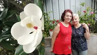 Встреча  с друзьями  в  Адлере.