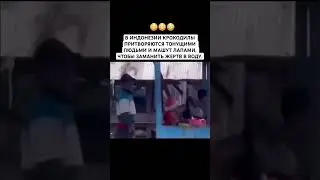 Крокодил-обманщикЛовушка хищника 