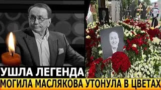 Ахнули все! ЭКСКЛЮЗИВНЫЕ КАДРЫ! Как выглядит могила Александра Маслякова?