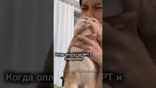 #cats