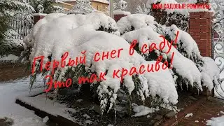 Первый снег в саду. Сказочно красиво!Заснеженный сад !