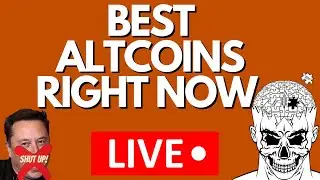 BEST ALTCOINS RIGHT NOW!!! (Add These To Your Watch List)