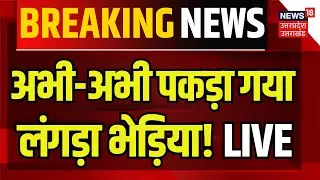 LIVE Wolf Attack in Bahraich: एक गांव में घेरा गया लंगड़ा भेड़िया? | Bhediya Attack | Live News