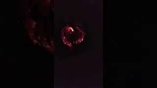 Моя мечта сделать сказочную дачу, я на пути к своей цели, как думаете получится? Тгк Весёлая семейка