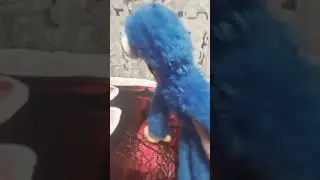 забыл убежать с дома...