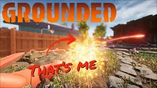 I turned myself into a Firework in Grounded