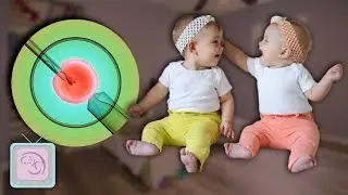 How To Have Twins: Get the Truth from a Fertility Expert