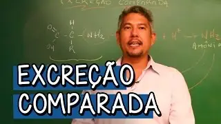 O que é Excreção Comparada? - Extensivo Biologia | Descomplica