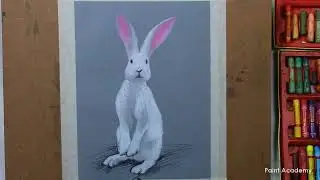 How to Draw Realistic Rabbit in Oil Pastel | steps to follow